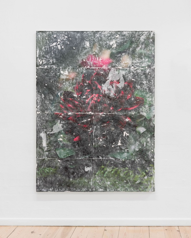 Flowers (drift)