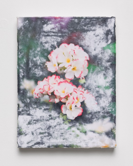 Flowers (elsewhere)