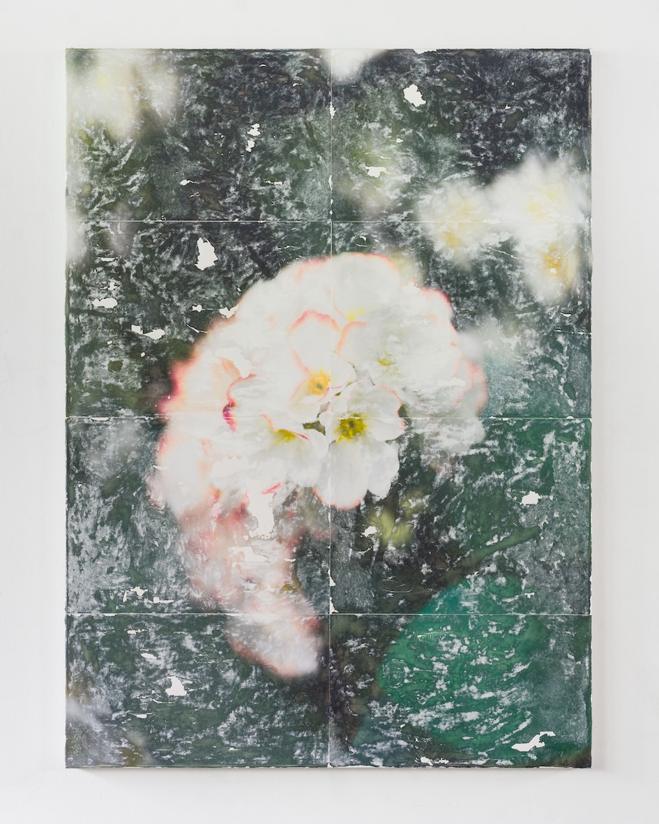 Flowers (forever)