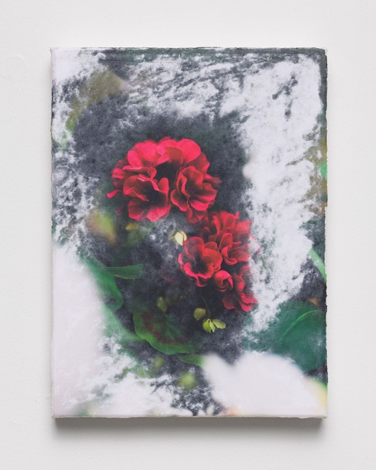 Flowers (longing)