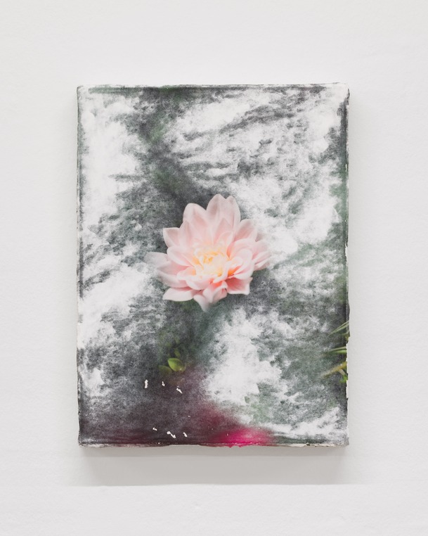 Flowers (once)