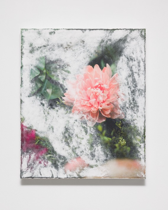 Flowers (reminiscent)